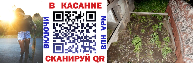 Где можно купить наркотики Дагестанские Огни А ПВП  Метадон  Галлюциногенные грибы  Меф мяу мяу  Марихуана  Гашиш  blacksprut ссылка  Кокаин 