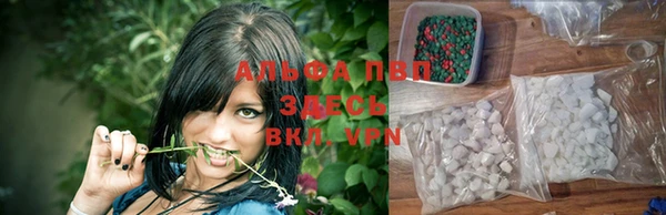 СК Беломорск